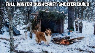 2 Night Winter Bushcraft Camp with My Dog - Complete Shelter Build