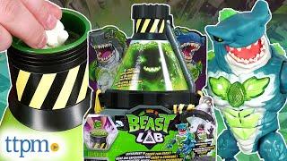 Beast Lab Shark Beast Creator