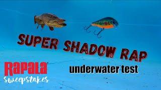 Rapala Super Shadow Rap, Fishing lure, Underwater test