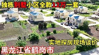 鹤岗市独栋别墅小区，全款12万一套，距离黑龙江5公里！【鬼头看房】