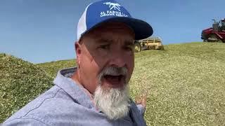 Mike Less - Farmhand Mike is live! Corn Silage Harvest on a Dairy Farm near Versailles Ohio