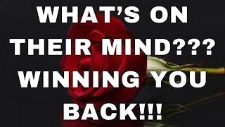 LOVE TAROT READING- WHAT'S ON THEIR MIND?? WINNING YOU BACK!!! ️‍