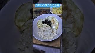 다이어트시 저는 탄수를 이렇게 줄이는걸 추천합니다(야금야금 실패없는 다요트 상급노하우)