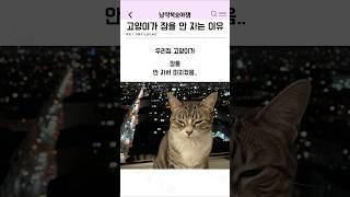 고양이가 잠을 안 자는 이유