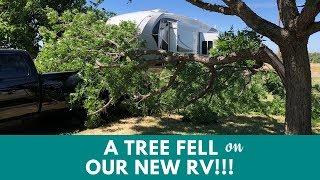 A Tree Fell on our New RV