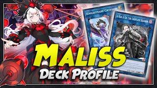 Maliss Deck Profile + Combo Tutorial | March 2025 | Yu-Gi-Oh!