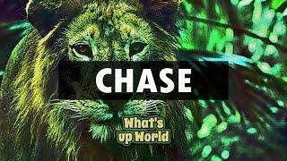 CHASE | MEEK MILL | HARD MODERN RAP BEAT | MOTIVATION TRAINING BEAT | WhatsupWorld