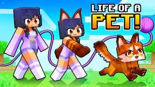 Having a PET LIFE in Minecraft!