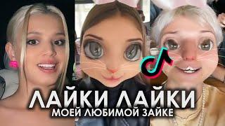 ЛАЙКИ ЛАЙКИ МОЕЙ ЛЮБИМОЙ ЗАЙКЕ TIK TOK ПОДБОРКА ЧАСТЬ 2 | ЛАЙКИ ЛЮБИМОЙ ЗАЙКЕ ПОДБОРКА ТИКТОК