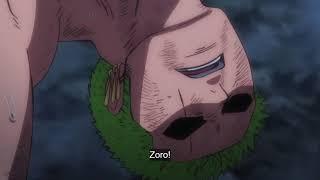 Franky saves Zoro from falling