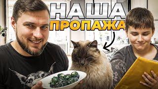 ВСЁ ПРОПАЛО!!! Куда исчез наш кот?! Все курьёзы в одном ролике! Так вот и живём! 