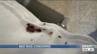 Exterminator says more calls are coming in for bed bugs