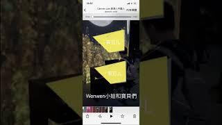 Wenwen小姐和寶貝們 MissWenwen K11 Atelier by piano course nice song Arte m