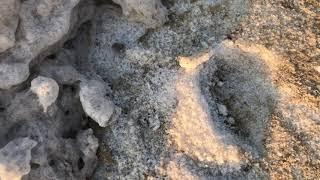 লবণের লেক ll California Salt Pond ll Travel