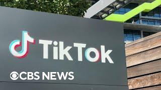 Court documents reveal TikTok owners knew app's impact on children's mental health