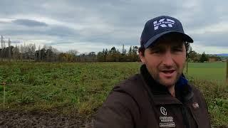 Why I started KIWI FARMER on You Tube.......