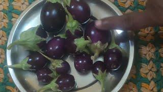 வித்தியாசமான முறையில் கத்திரிக்காய் தொக்கு/Brinjal gravy recipe in Tamil 