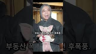 문재인을 아시나요?