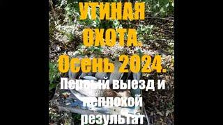 Утиная охота  2024, в разгар "бабьего" лета.