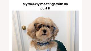 My weekly meetings with HR part 8