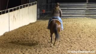 Dyna Little Annie -  indoor lead changes - Valley View Ranch