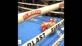 Diego Pacheco Lands Brutal Body Shot To KO Sulecki In 6th ROund