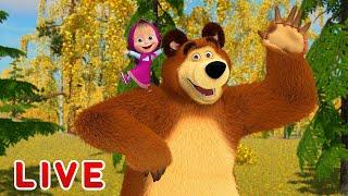 Masha and the Bear  LIVE STREAM  Best cartoons for children