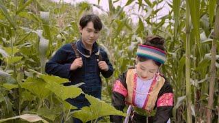 COME BACK HOME - MUS TOJ SIAB [OFFICIAL MV] D-MER x THEENG VANG | HMONG VIETNAMESE NEW SONG 2024