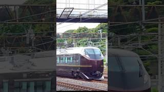 E655 series NAGOMI at Nippori Station, Tokyo, Japan, June 14, 2025
