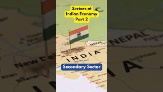 Sectors Of The Indian Economy  Part 2   @jagdeepma'am #shortsviral #cbse