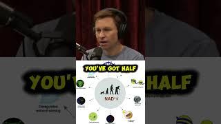 NAD Supplements: Boosting NAD and ATP for Anti Aging and Increase Lifespan