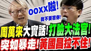 【全字幕】大法官成賴清德走狗！？連周萬來秘書長也按耐不住！大實話打臉大法官！突如暴走！黃國昌差點拉不住！立院質詢 #釋憲 #大法官解釋