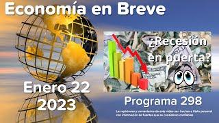 Economía En Breve 298