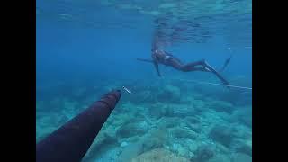 1st Teaser Trailer Frenchrivieraspearfishing diving in Corsica ! More to come !