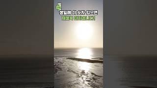 생일에 이 '숫자' 있으면 재물복 따라옵니다!  #풍수 #사주팔자 #재물복 #행운 #풍수인테리어