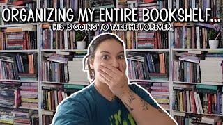 organize my messy bookshelves with me! building + decorating 🫧