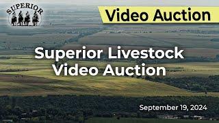 Superior Livestock Auction - Video Auction