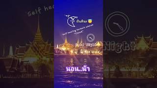 Good night  #sleep #dream #sunday #นกพรทิพย์ #nok977
