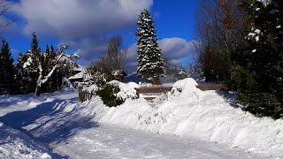 Winter wonder in the Bavarian Forest