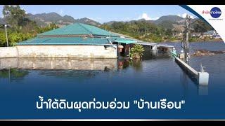 น้ำใต้ดินผุดท่วมอ่วม "บ้านเรือน-พื้นที่เกษตร" อ.เชียงดาว