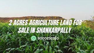 2 Acres Agriculture Land for Sale in Shankarpally, Hyderabad