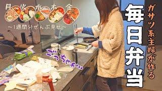 【リアル】毎日必死なオカンの1週間の弁当作り【料理/家事/主婦/アラサー】