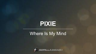 Pixie - Where Is My Mind (Remastered Lyric)