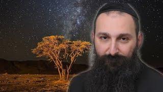 Does Noahides have a share in the world to come,with Rabbi Alon Anava.