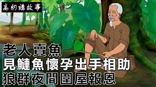 民間故事：老人賣魚，見鰱魚懷孕出手相助，狼群夜間圍屋報恩｜高朗講故事