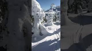Pov: you are skiing in Finland