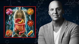 Q&A: Dr. Patrick Flynn On Gut Testing, Female Sex Drive, Weight Loss, Potassium, Hormones & More