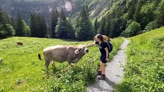  Axalp Switzerland - June 2024