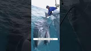  Epic Fishing Haul: 3,000kg Fish & Shark! #FishingGoals