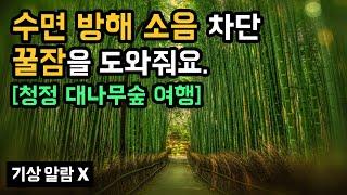  꿀잠을 방해하는 주변 소음 차단! 숲 속 사운드 & 팬플룻 음악 with 청정 대나무숲으로의 숙면 테마 여행